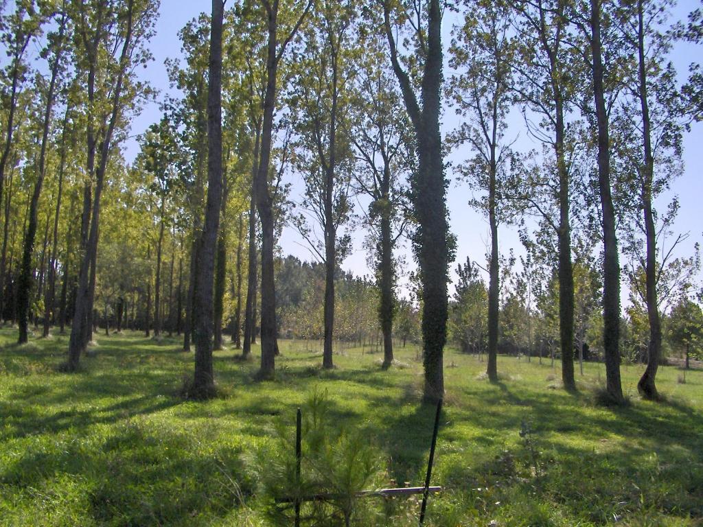 Residence Les Peupliers Loriol-du-Comtat ภายนอก รูปภาพ
